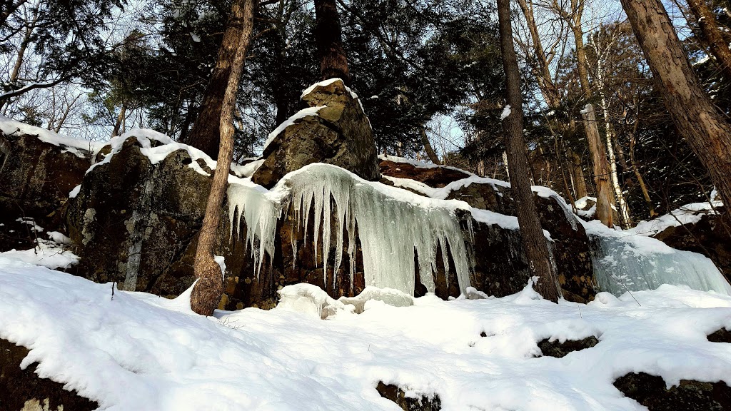 Refuge doiseaux de Mont-Saint-Hilaire | Gault Nature Reserve, 422 Chemin des Moulins, Mont-Saint-Hilaire, QC J3G 4S6, Canada | Phone: (450) 467-4010