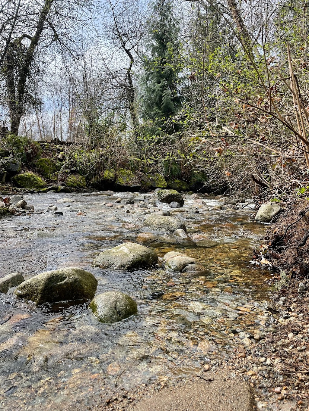 Port Moody Ecological Society (Noons Creek Hatchery) | 340 Ioco Rd, Port Moody, BC V3H 2V7, Canada | Phone: (604) 469-9106