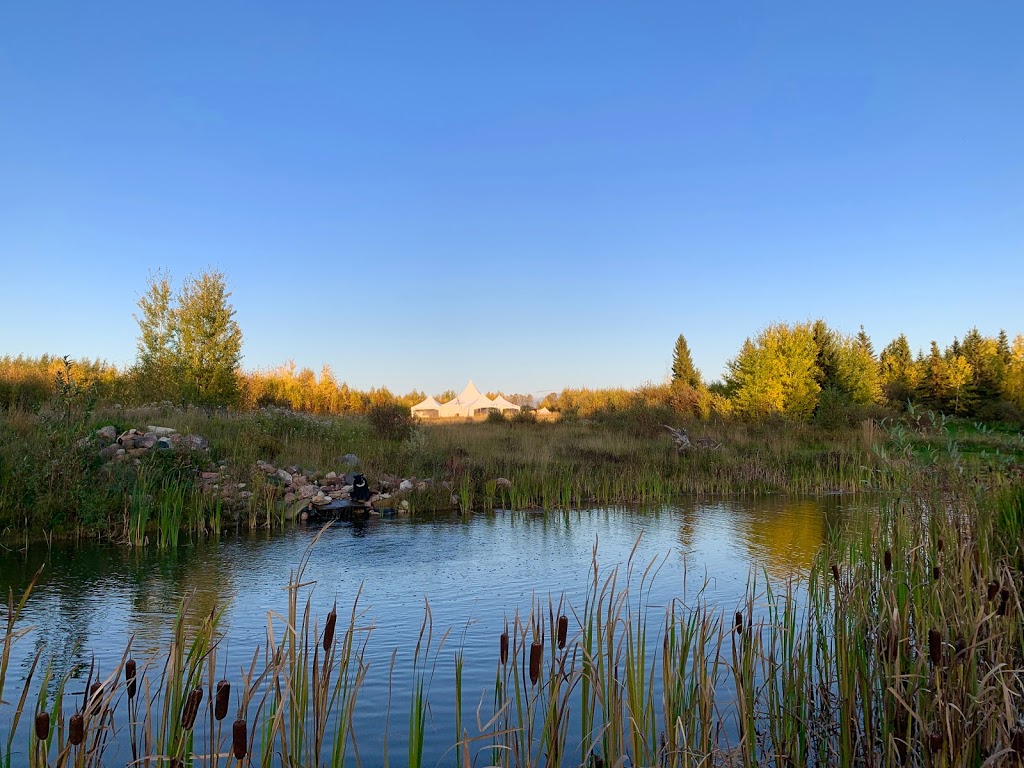 Woodland + Wildflower Weddings | Range Road 26427, Township Rd 650, Westlock County, AB T0G 0Y0, Canada | Phone: (780) 689-9679