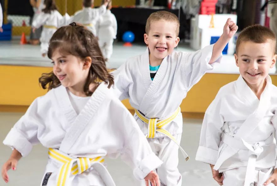 Maple Ridge Karate | 20306 Dewdney Trunk Rd Unit 5, Maple Ridge, BC V2X 6E3, Canada | Phone: (778) 240-0503