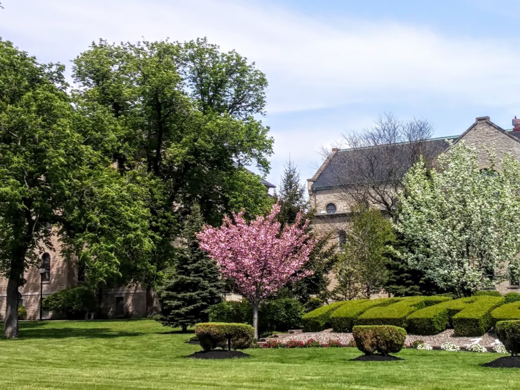 Niagara University Alumni Chapel | Niagara University, Niagara University 5795 Lewiston Rd, 6 Vincentian Dr, Lewiston, NY 14109, USA | Phone: (800) 462-2111