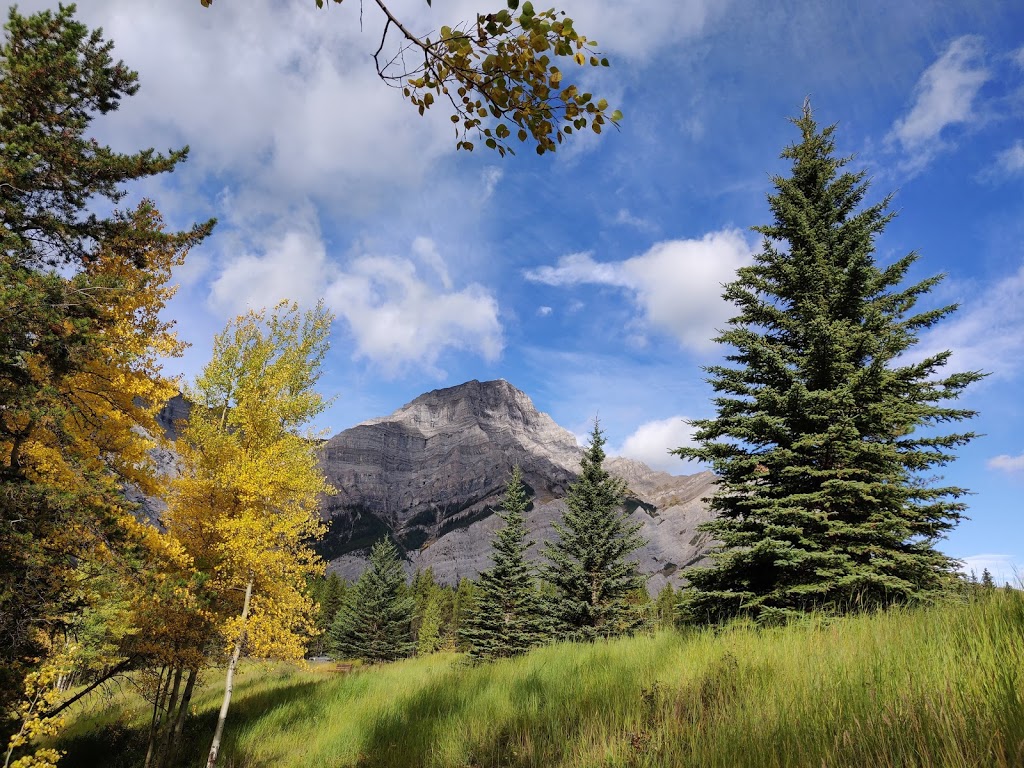 Mount Kidd RV Park | 1 Mount Kidd Dr, Kananaskis, AB T0L 2H0, Canada | Phone: (403) 591-7700