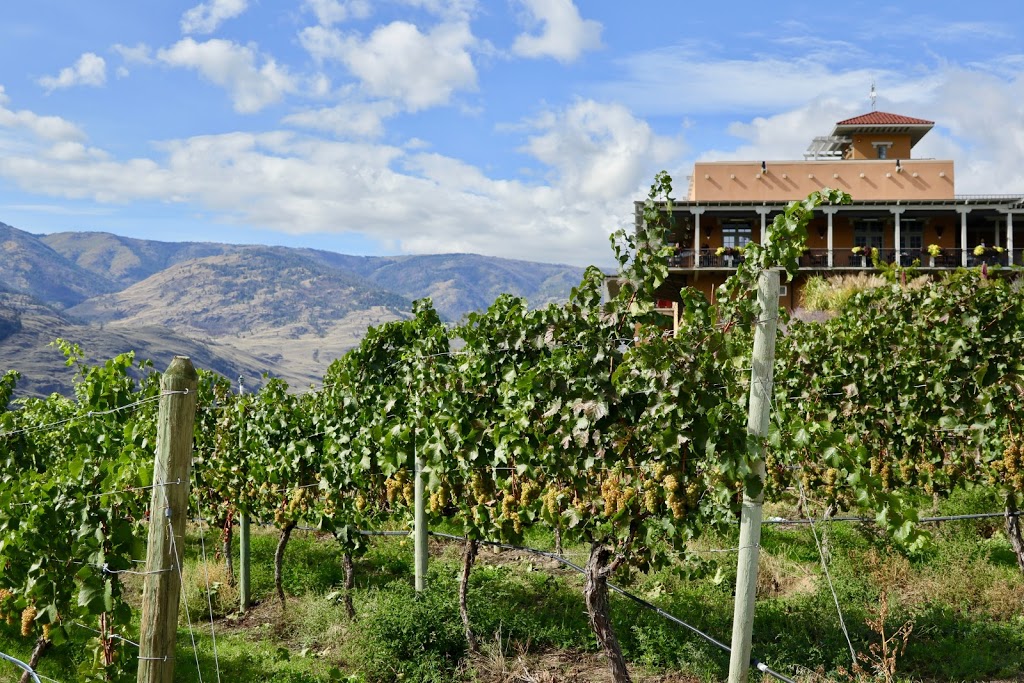 Burrowing Owl Estate Winery | 500 Burrowing Owl Pl, Oliver, BC V0H 1T1, Canada | Phone: (250) 498-0620