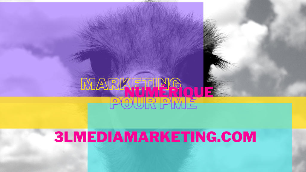 3L MEDiA Marketing | 224 Chemin de Gosford, Shannon, QC G3S 0W8, Canada | Phone: (418) 575-9705