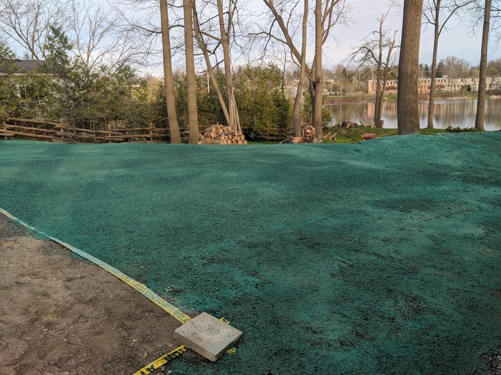 SouthWest Hydroseeding | Colborne St W, Brantford, ON N3T 1P9, Canada | Phone: (519) 732-0922