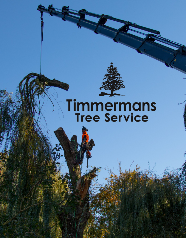 Timmermans Tree Service | 1900 Interprovincial Hwy, Abbotsford, BC V3G 2H7, Canada | Phone: (604) 504-5381