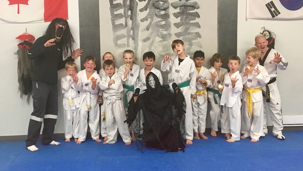 Penticton Champion Taekwondo | 132 Industrial Ct #104, Penticton, BC V2A 7N9, Canada | Phone: (250) 493-8765