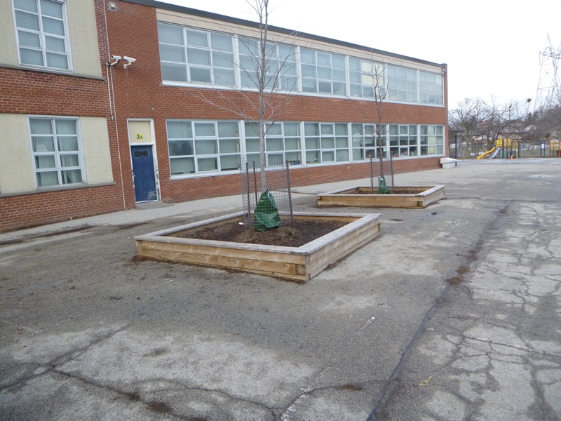 Terraview-Willowfield Public School | 95 Pachino Blvd, Scarborough, ON M1R 4K1, Canada | Phone: (416) 396-6595