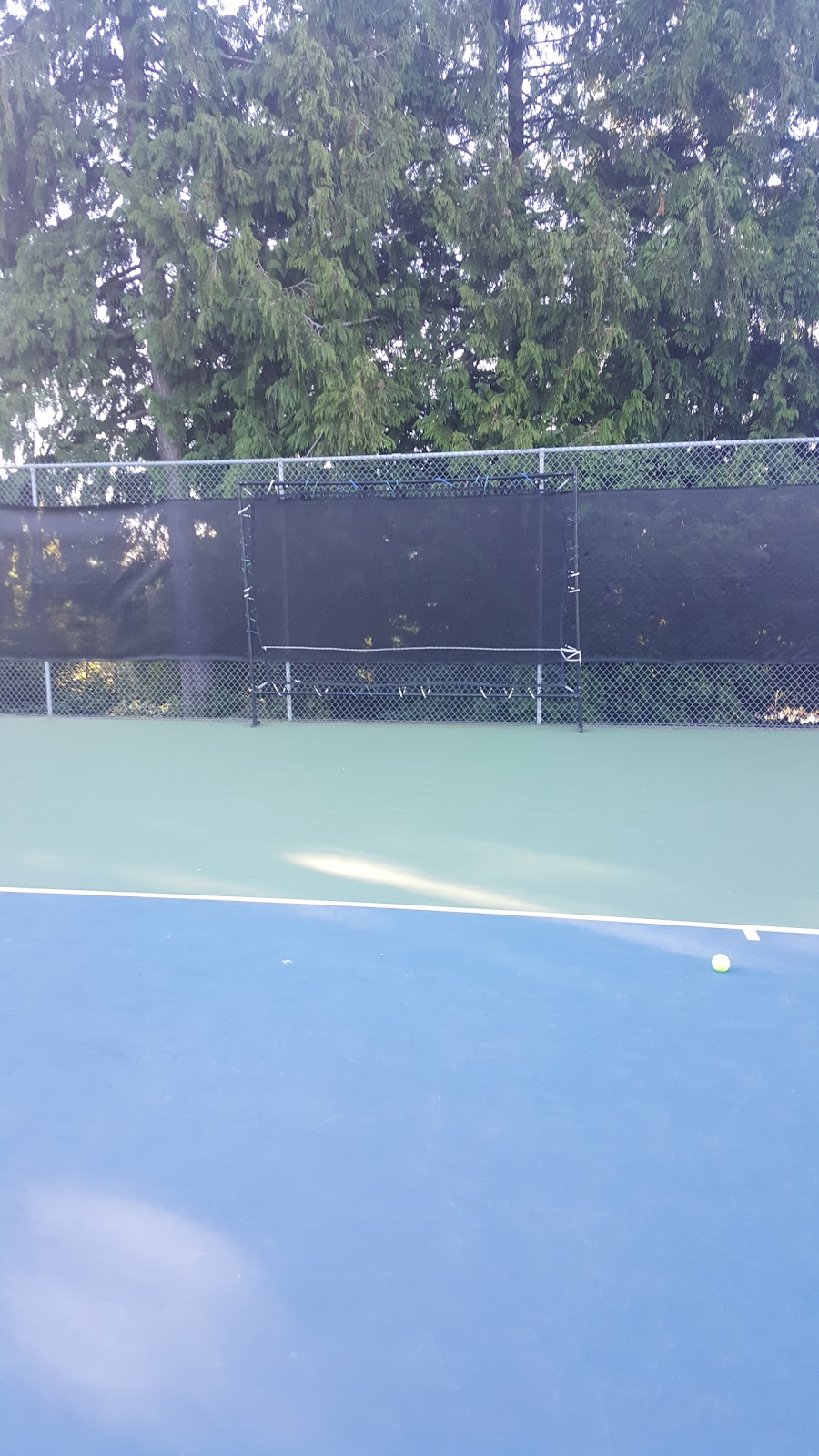 Springwood Tennis Courts | 735 Despard Ave, Parksville, BC V9P 1P9, Canada | Phone: (250) 947-9743