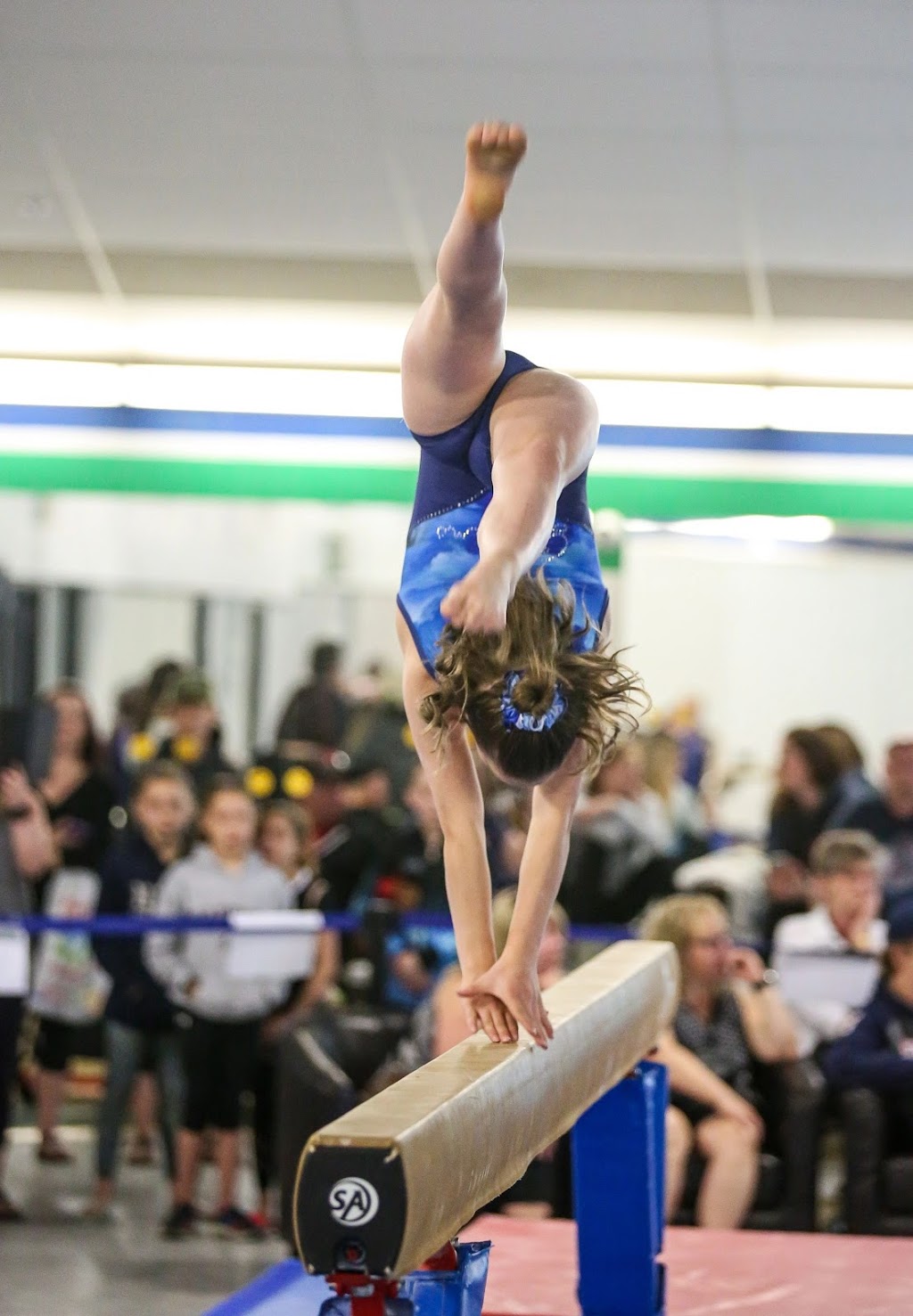 Dreams Gymnastics Academy | 9527 49 St NW, Edmonton, AB T6B 2L8, Canada | Phone: (780) 440-0014