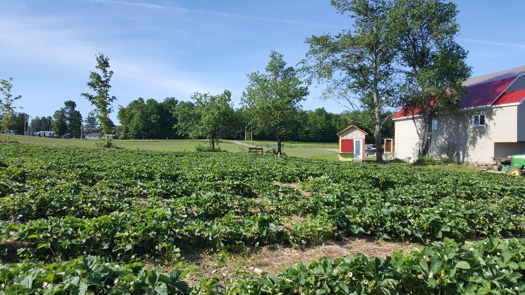 Ferme Les 3 Pouces Verts | 525 Chemin Chute, Cookshire-Eaton, QC J0B 1M0, Canada | Phone: (819) 919-1510