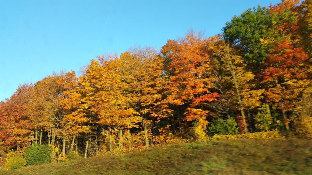 Ecological Farmers Association of Ontario | Orchard Park Office Centre, 5420 ON-6, Guelph, ON N1H 6J2, Canada | Phone: (519) 822-8606