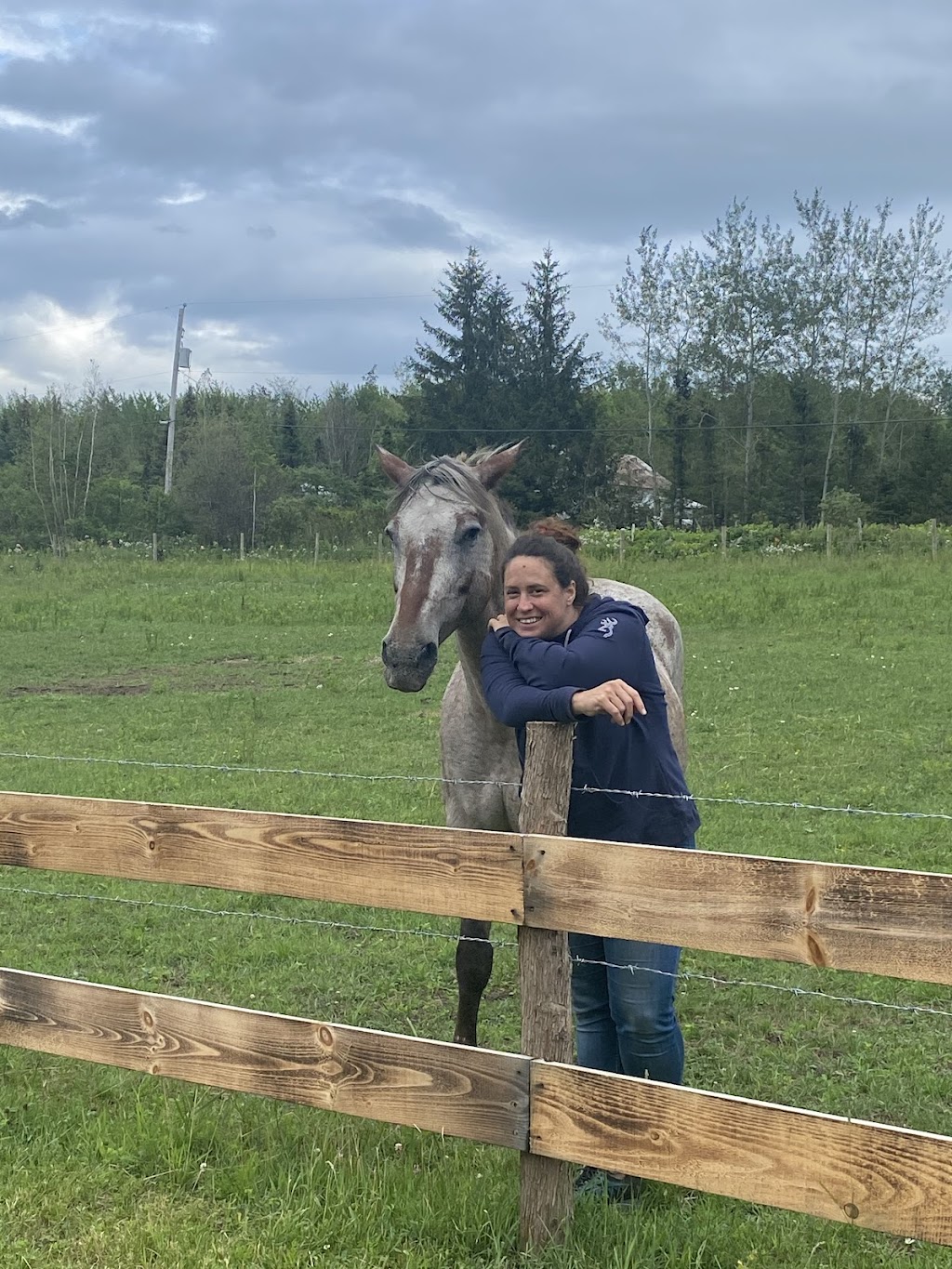 Bleuetière la Grande Ourse (Bleuetière biologique) | 271 Rang Saint-Jean-Baptiste, Saint-Chrysostome, QC J0S 1R0, Canada | Phone: (450) 826-0166