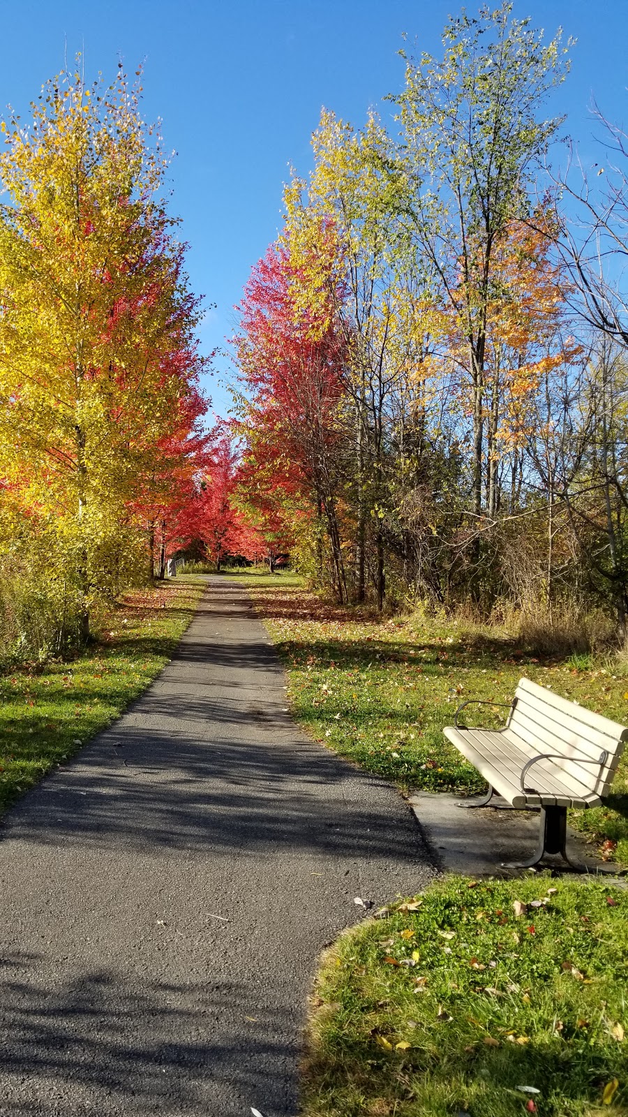 Fawn Meadows | 198 Meandering Brook Dr, Gloucester, ON K1T 0C3, Canada | Phone: (403) 749-3296