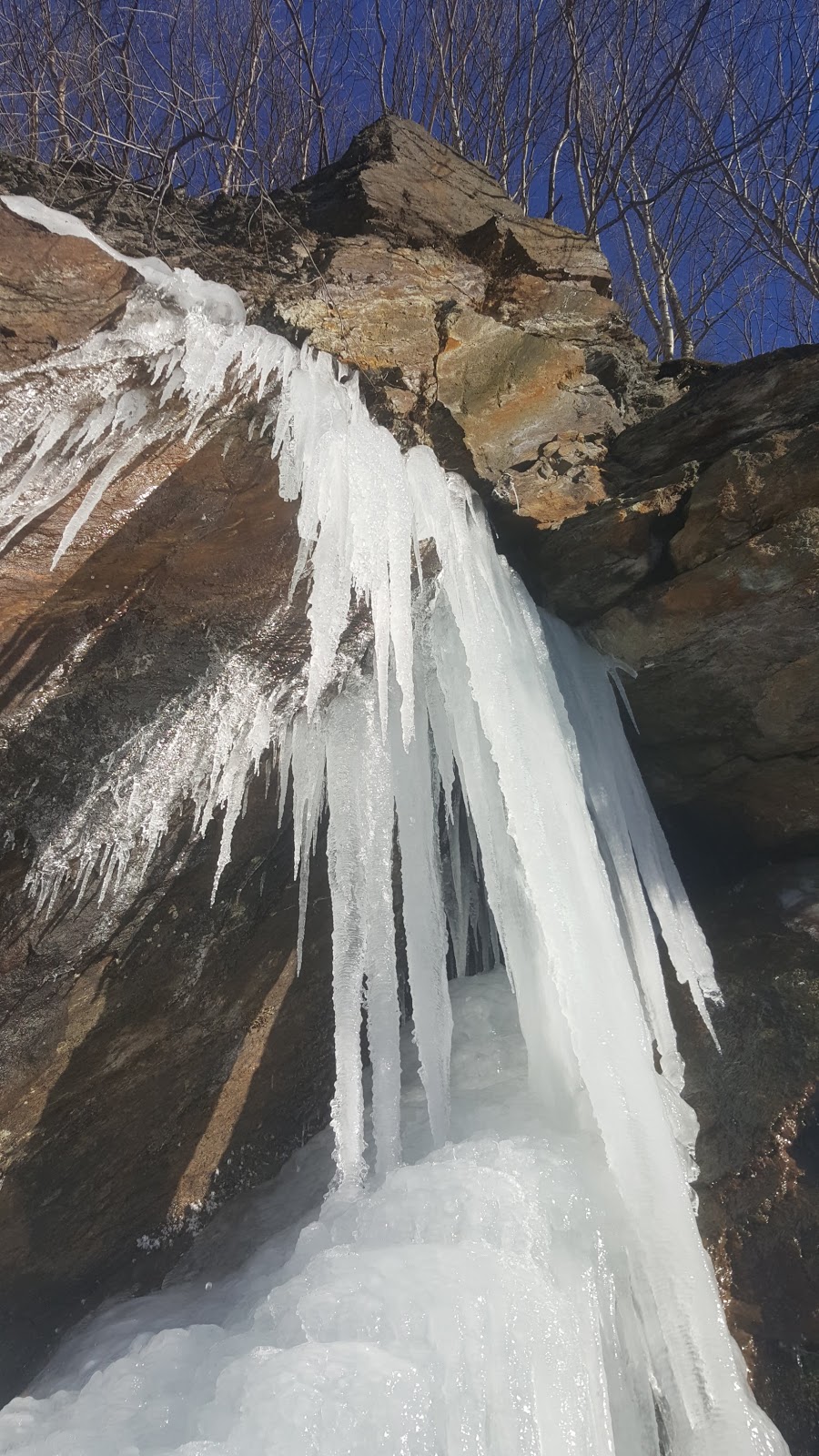 Parc denvironnement naturel de Sutton | 900 Chemin Réal, Sutton, QC J0E 2K0, Canada | Phone: (450) 538-4085