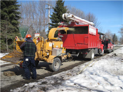 Elagage Des Bois-Francs Inc | 1717 Rue Valère, Victoriaville, QC G6T 2J7, Canada | Phone: (819) 758-5000