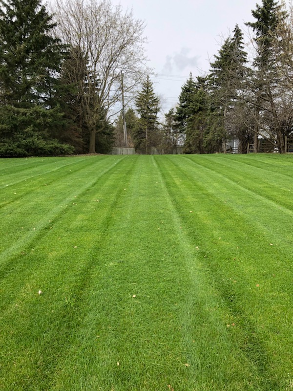 Bright Lawn & Garden | 43 Glass Dr, Aurora, ON L4G 2E6, Canada | Phone: (905) 713-9352