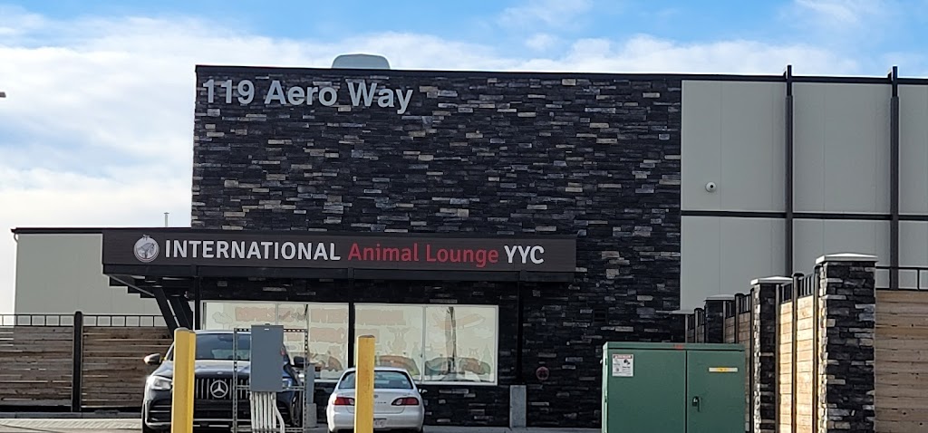 International Animal Lounge YYC | 119 Aero Way NE, Calgary, AB T2E 6K2, Canada | Phone: (587) 296-4706