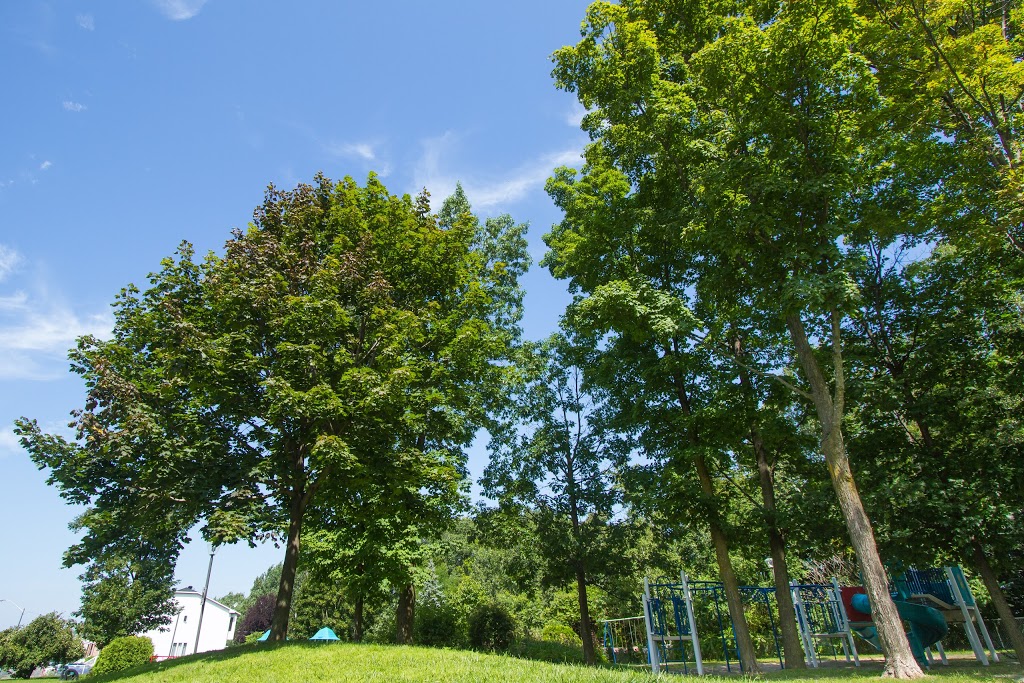 Ville de LÎle-Perrot - Parc Lucien-Manning | Coin Lucien-Manning et Rue René-Émard, LÎle-Perrot, QC J7V 8V6, Canada | Phone: (514) 453-1751