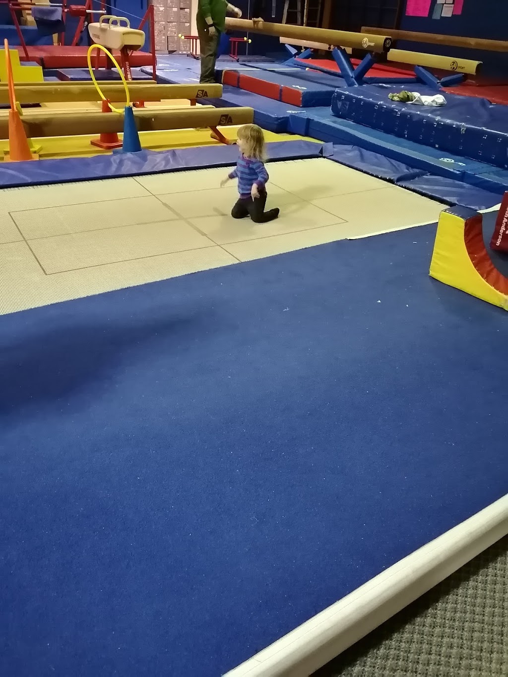 Gymny Krickets Gymnastics Club | 10 Gilmour St, Brockville, ON K6V 5J7, Canada | Phone: (613) 345-3836