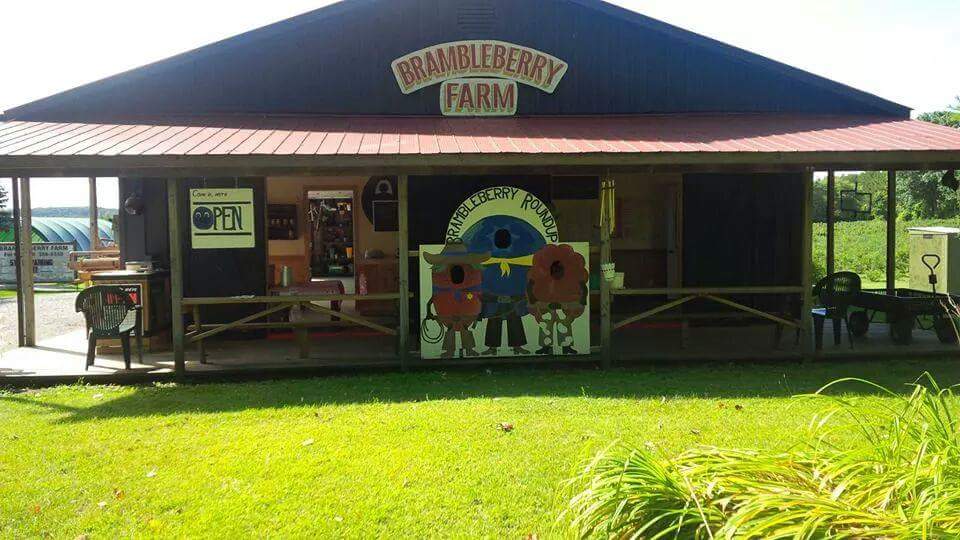 Brambleberry Farm | 9 Mitchell Rd, Wooler, ON K0K 3M0, Canada | Phone: (613) 398-8350