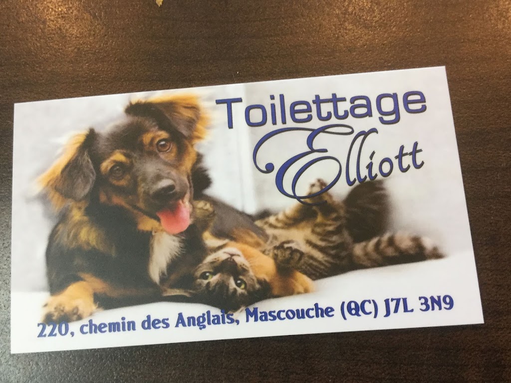 Salon Elliott Tonte Et Tlttg | 220 Chem. des Anglais, Mascouche, QC J7L 3N9, Canada | Phone: (450) 477-7368