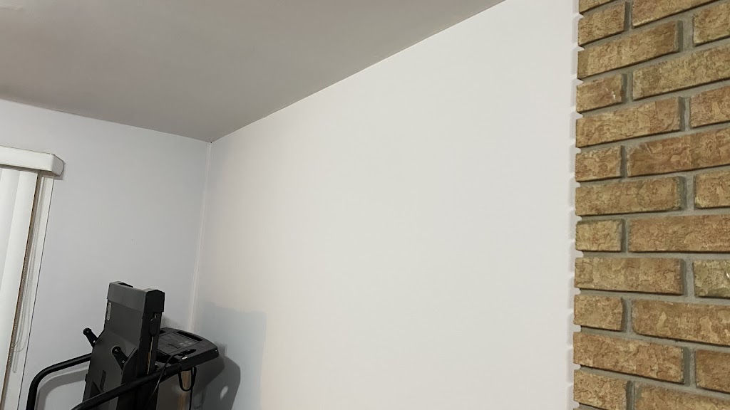 Paint X (Residential & Commercial Painting Services) | 8 Pluto Dr, Brampton, ON L6V 3W5, Canada | Phone: (647) 473-6722
