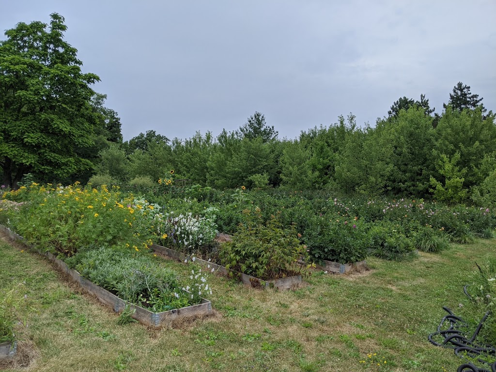 Windecker Woods Flower Farm | 215 Windecker Rd, Cayuga, ON N0A 1E0, Canada | Phone: (905) 973-1786