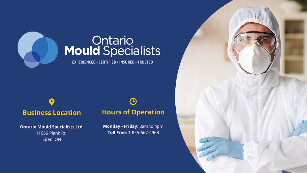 Ontario Mould Specialists | 11656 Plank Rd, Eden, ON N0J 1H0, Canada | Phone: (855) 667-4968