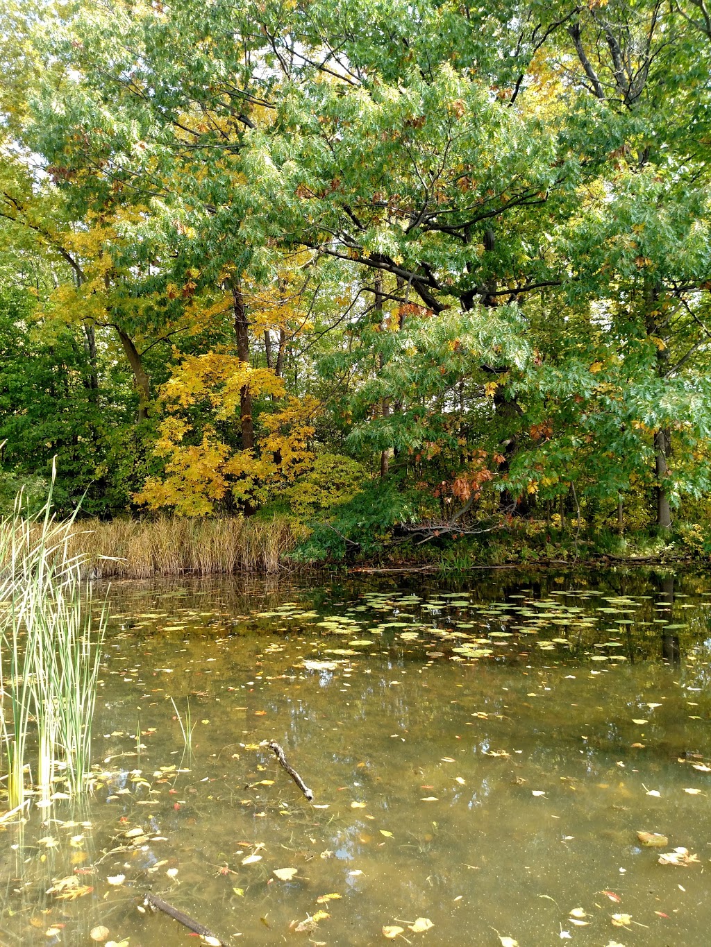 Woods Creek Kayak Launch | Grand Island, NY 14072, USA