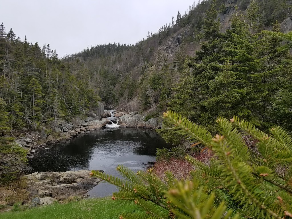 La Manche Provincial Park | Highway 10, Tors Cove, NL A0A 4A0, Canada | Phone: (709) 685-1823