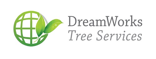 DreamWorks Tree Service | 8799 Concession Rd 5, Uxbridge, ON L9P 1R1, Canada | Phone: (647) 261-2627