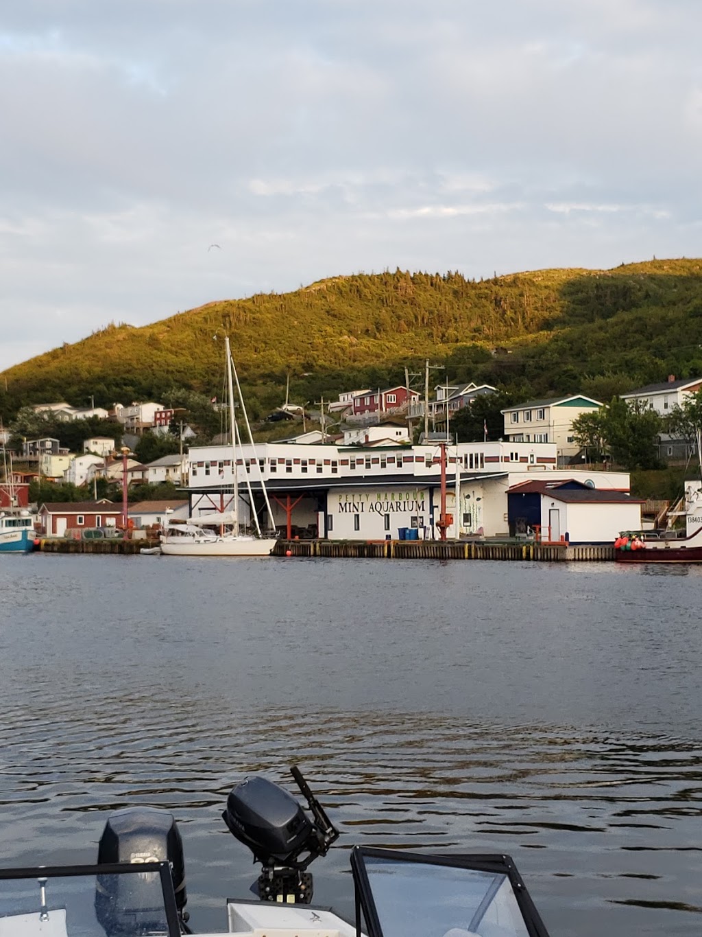 Harbor Lookout Point | Petty Harbour-Maddox Cove, NL A1S 1L1, Canada