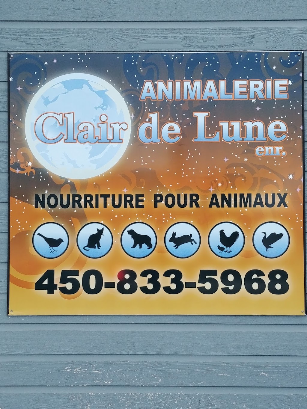 Video Clair De Lune Enr | 590 Rue Brassard, Saint-Michel-des-Saints, QC J0K 3B0, Canada | Phone: (450) 833-5968