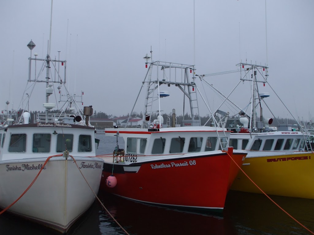 Surf Seafoods (2009) Limited | 16 Commercial St, Port La Tour, NS B0W 2T0, Canada | Phone: (902) 768-2535