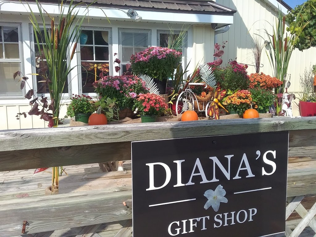 ROSEDALE MINI GARDENS AND DIANAS GIFTS**AT 21 FRANCIS ST WEST | Dianas Gift Shop & Rosedale Mini Gardens at, 21 Francis St W, Fenelon Falls, ON K0M 1N0, Canada | Phone: (416) 996-4615