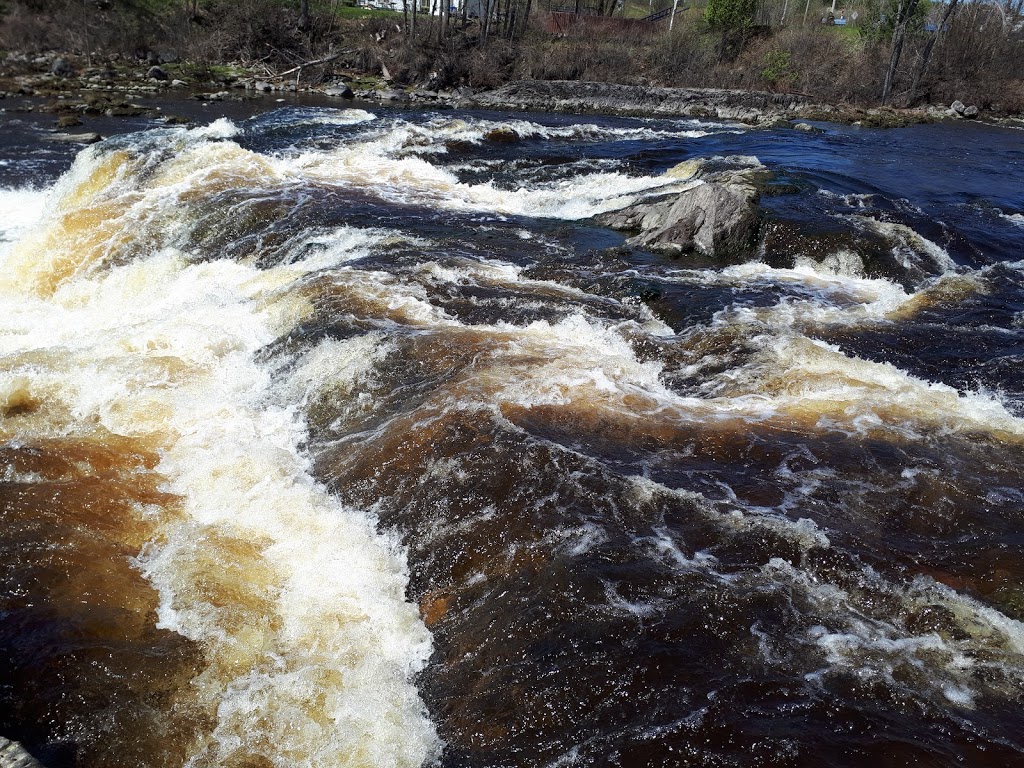 Parc François Beaudoin | 980 Rue Champoux, Disraeli, QC G0N 1E0, Canada