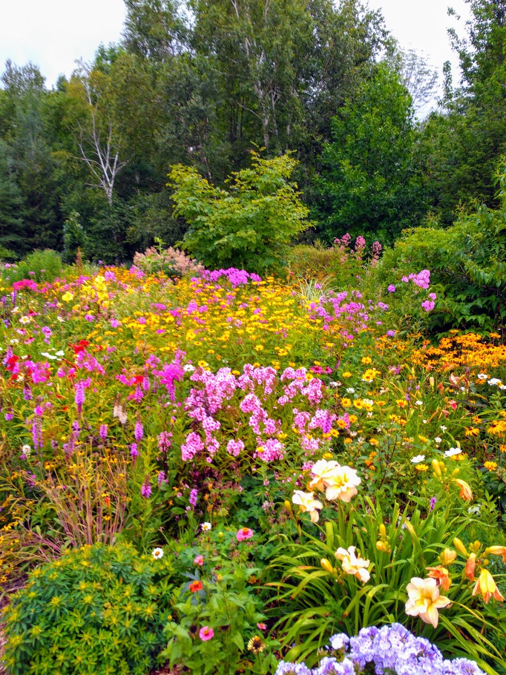 Annas Perennials | 63 Shoreview Road, Lindsay, ON K9V 4R5, Canada | Phone: (705) 799-0062