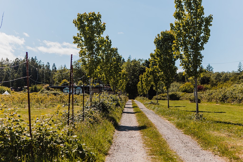 Little Tribune Farm | 6160 Central Rd, Hornby Island, BC V0R 1Z0, Canada | Phone: (250) 702-3316