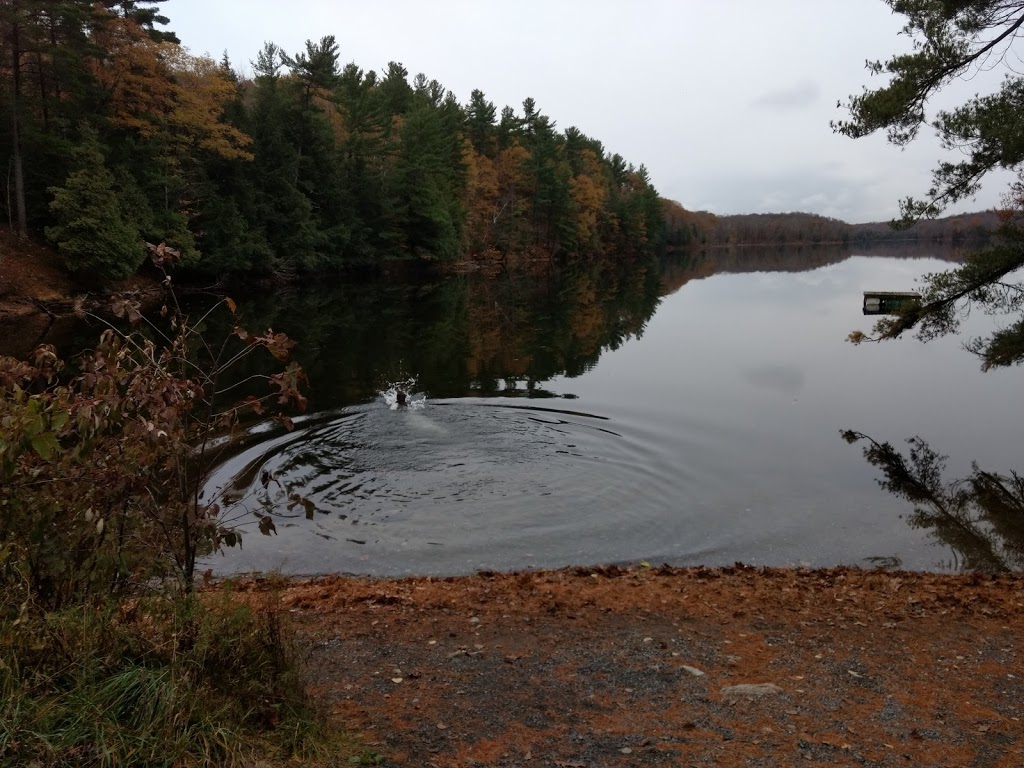 Frontenac Provincial Park | Kingsford Lake Dam Rd, Perth Road, ON K0H 2L0, Canada