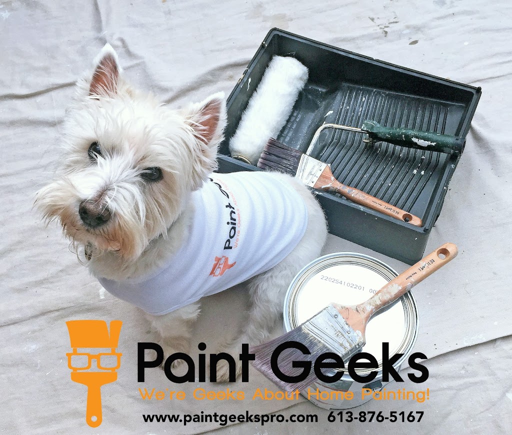 Paint Geeks | 153 Country Club Dr, Kingston, ON K7M 7G8, Canada | Phone: (613) 876-5167