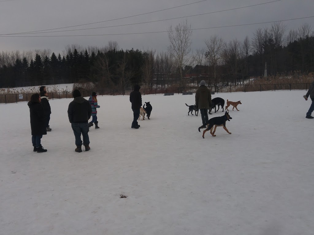 Canine Park | 949 Av Châteaubriant, Mascouche, QC J7K 3N7, Canada | Phone: (450) 474-4133