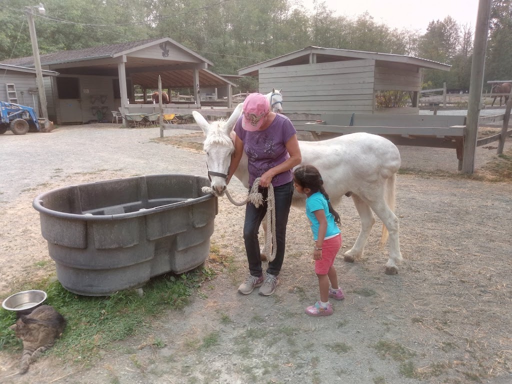 Langley 204 Horseback Riding | 543 204 St, Langley City, BC V2Z 1V5, Canada | Phone: (604) 533-7978