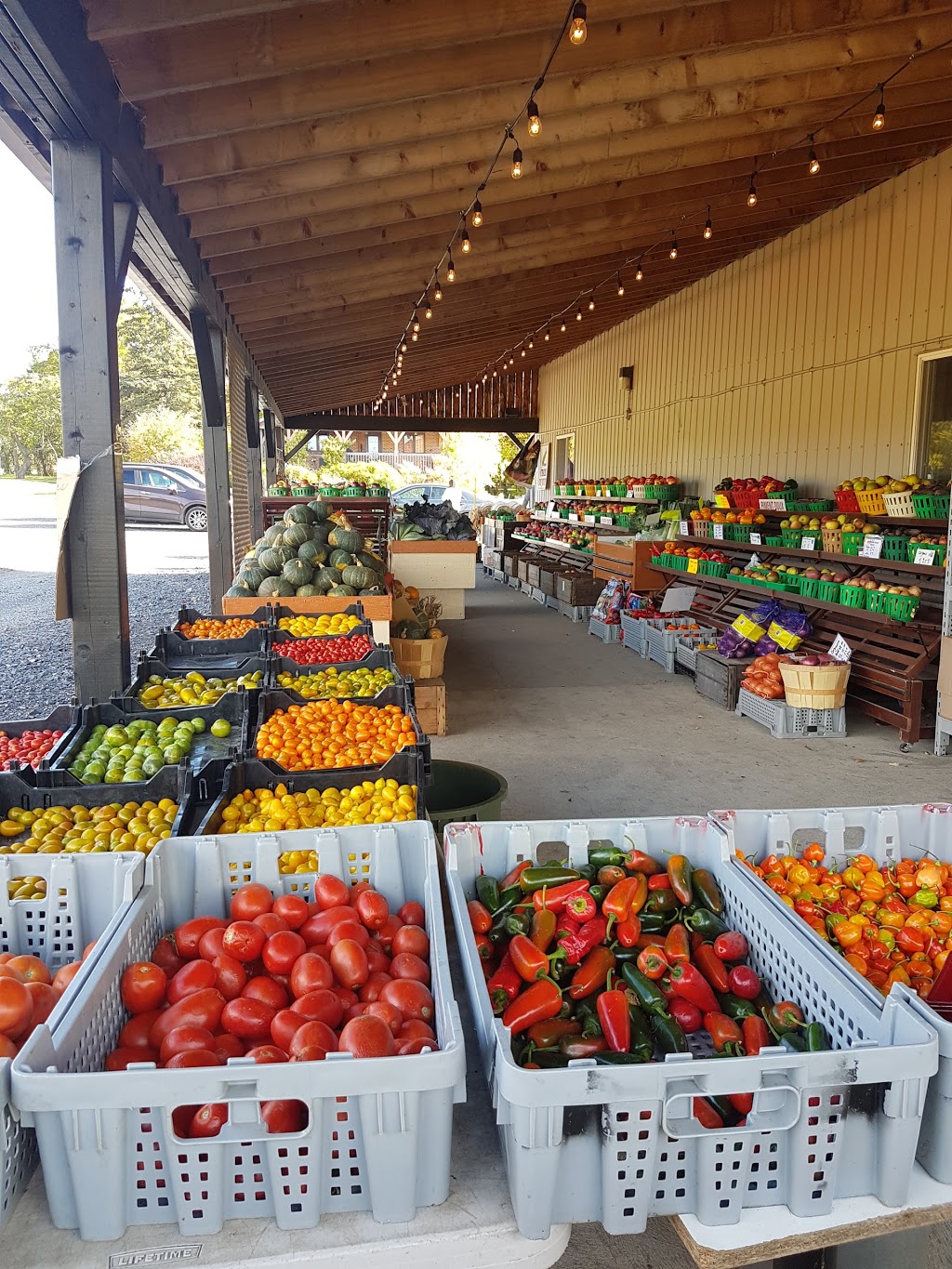 Potager Mont-Rouge Halte Gourmande | Verger & Boutique | Orchard | 154 Rang de la Montagne, Rougemont, QC J0L 1M0, Canada | Phone: (844) 947-6663