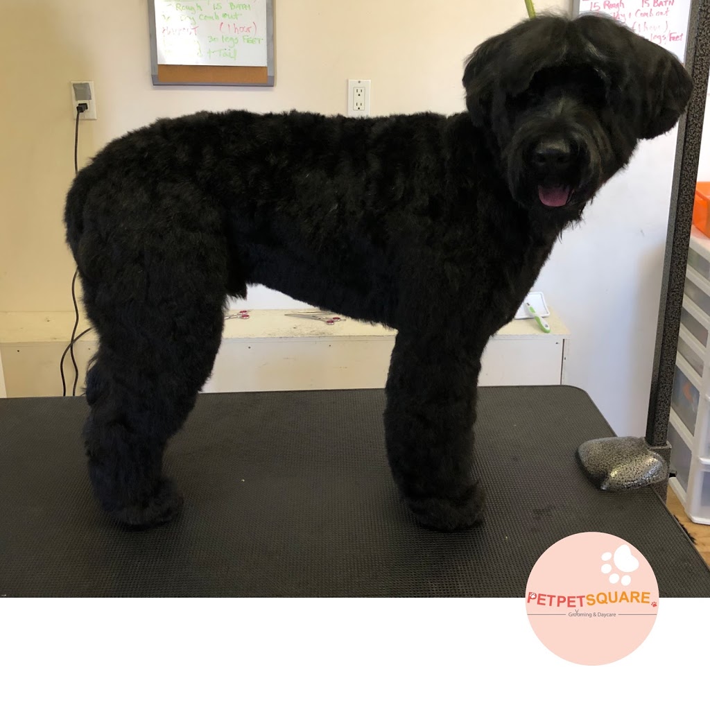 Pet Pet Square..(Grooming,Daycare,Home Boarding) | 6012 Denbigh Ave, Burnaby, BC V5H 3R5, Canada | Phone: (236) 513-9738