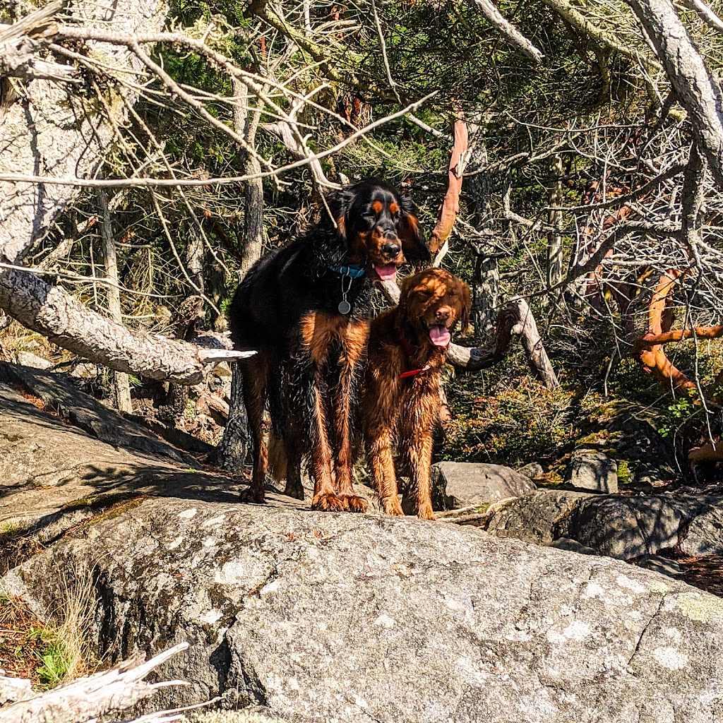 Mission Pawsable Dog Hiking | 1070 River Rd, Victoria, BC V9B 6K2, Canada | Phone: (250) 710-9856