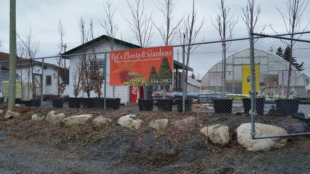 Pats Plants & Gardens | 787 Main Rd, Bay Bulls, NL A0A 1C0, Canada | Phone: (709) 334-2987