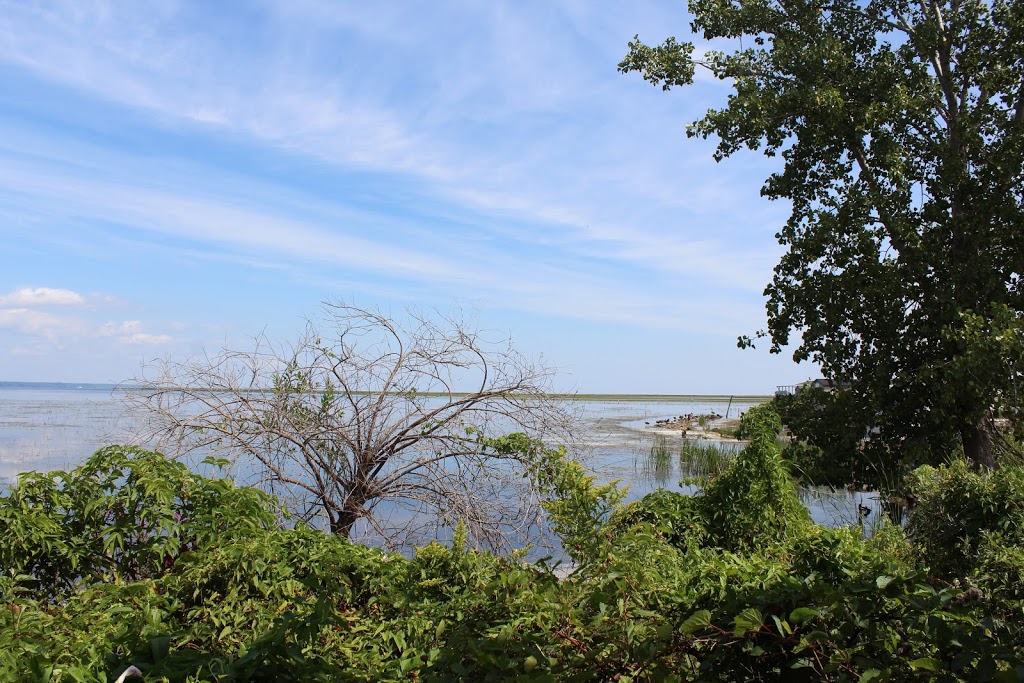 Long Point Bird Observatory | 13 Old Cut Blvd, Port Rowan, ON N0E 1M0, Canada | Phone: (519) 586-3531