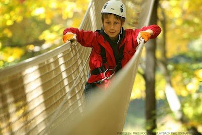 Treetop Trekking Barrie at Horseshoe Valley | 1101 Horseshoe Valley Rd. Comp 10 R.R. #1, Barrie, ON L4M 4Y8, Canada | Phone: (705) 835-7600