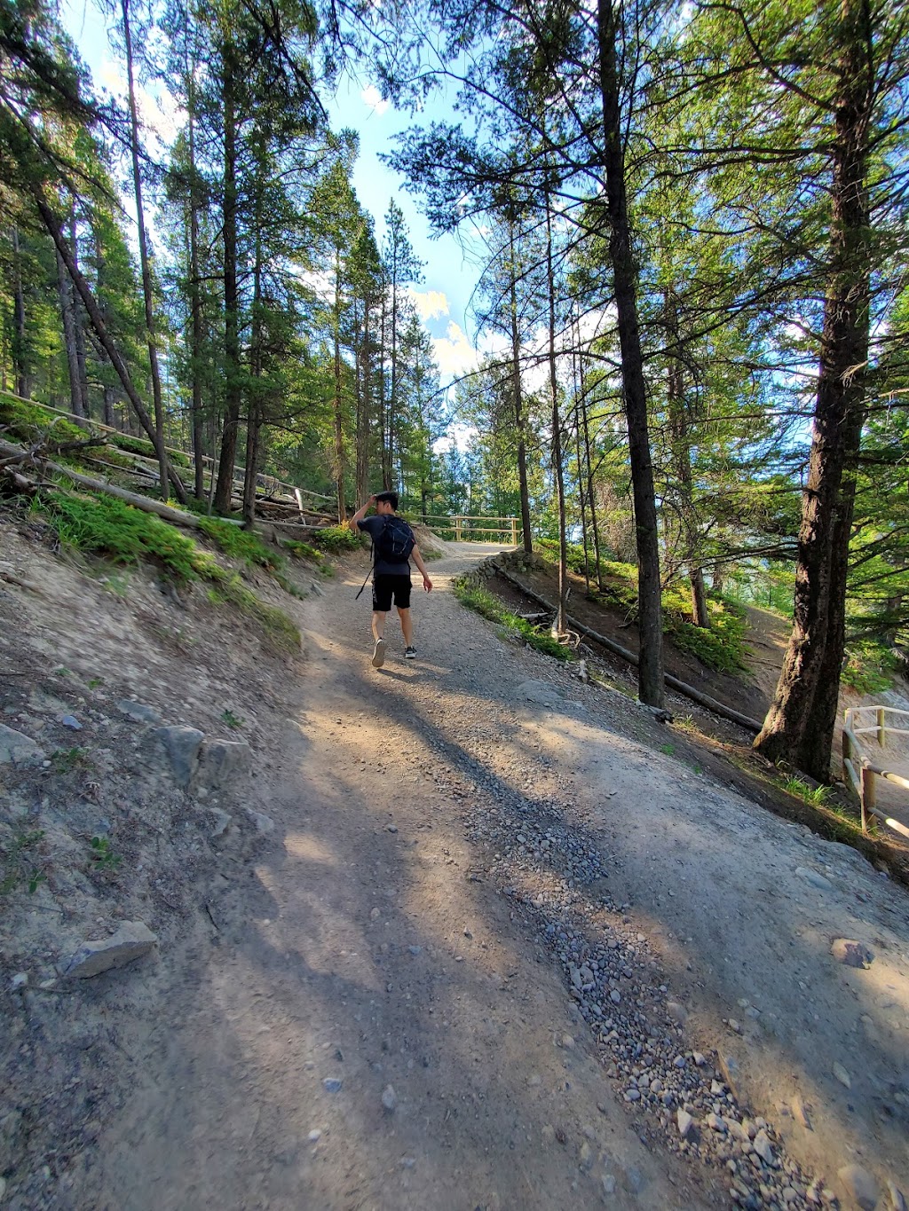 Tunnel Mountain Trail Route | Tunnel Mountain Trail, Improvement District No. 9, AB T0L 0C0, Canada | Phone: (888) 773-8888